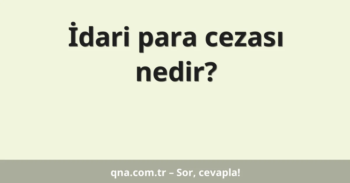 İdari para cezası nedir?