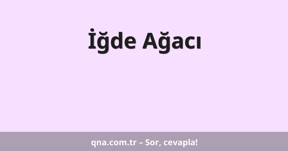 İğde Ağacı