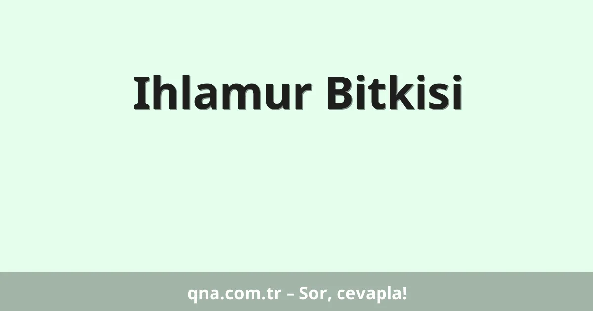 Ihlamur Bitkisi