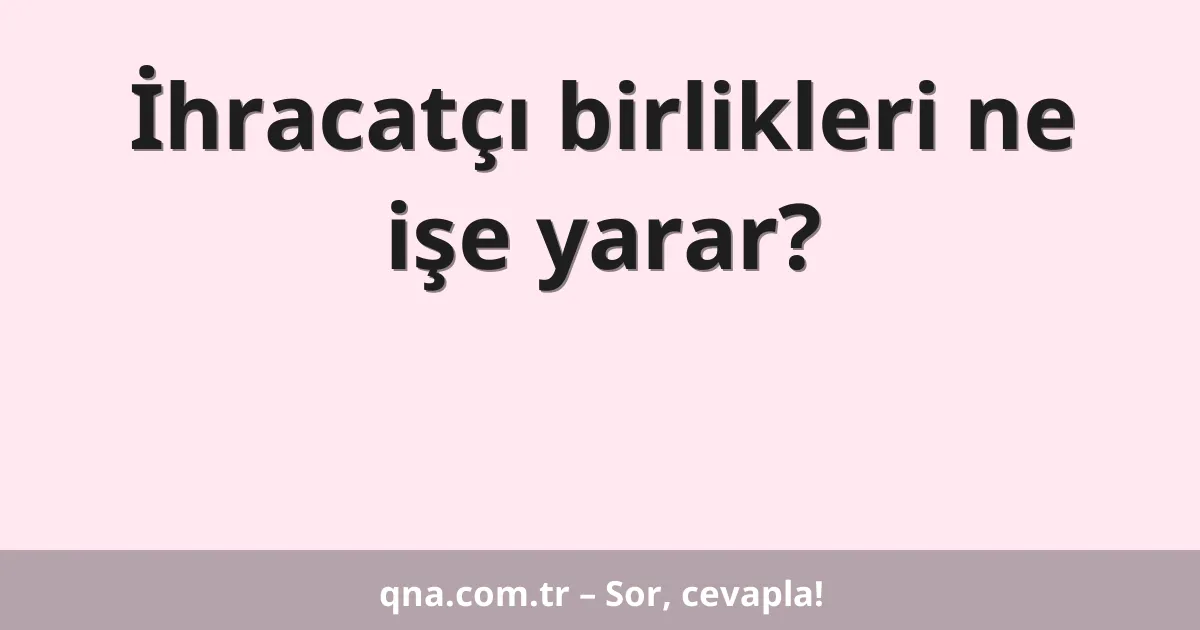 İhracatçı birlikleri ne işe yarar?