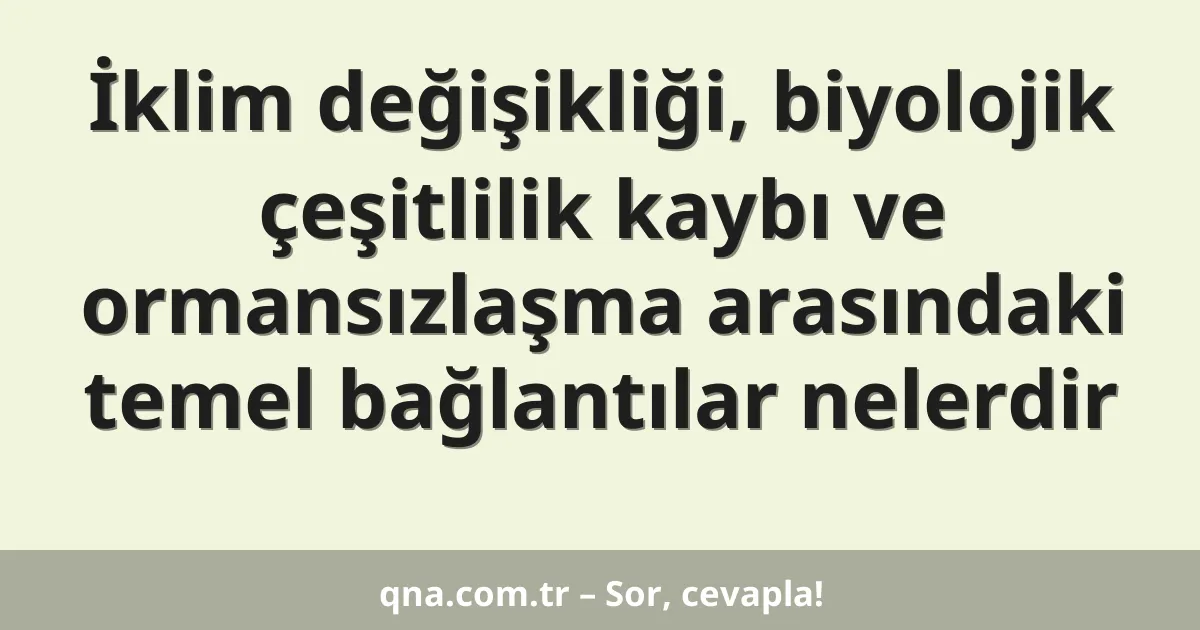 İklim değişikliği, biyolojik çeşitlilik kaybı ve ormansızlaşma arasındaki temel bağlantılar nelerdir
