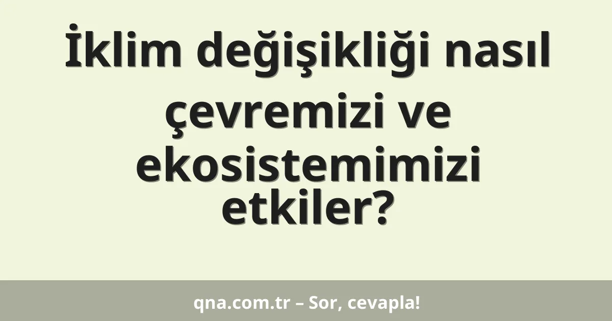 İklim değişikliği nasıl çevremizi ve ekosistemimizi etkiler?