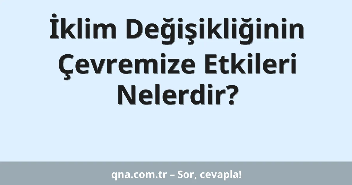 İklim Değişikliğinin Çevremize Etkileri Nelerdir?