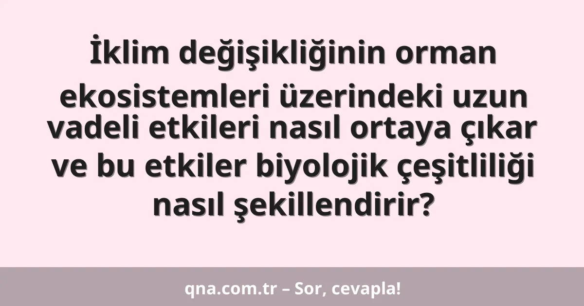 İklim değişikliğinin orman ekosistemleri üzerindeki uzun vadeli etkileri nasıl ortaya çıkar ve bu etkiler biyolojik çeşitliliği nasıl şekillendirir?