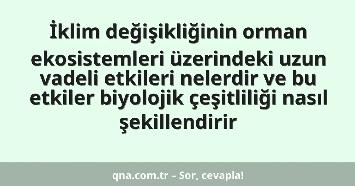 İklim değişikliğinin orman ekosistemleri üzerindeki uzun vadeli etkileri nelerdir ve bu etkiler biyolojik çeşitliliği nasıl şekillendirir