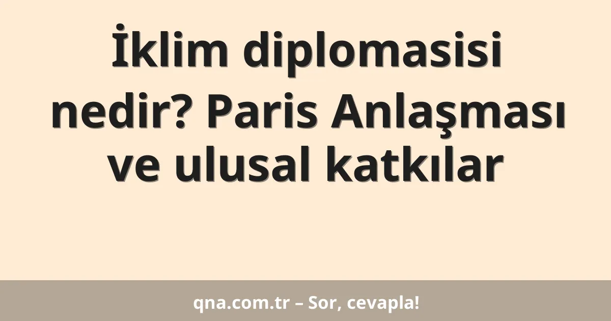 İklim diplomasisi nedir? Paris Anlaşması ve ulusal katkılar