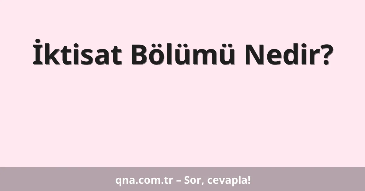 İktisat Bölümü Nedir?