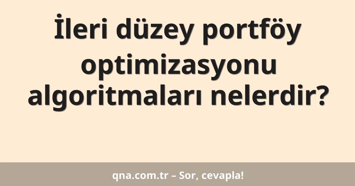 İleri düzey portföy optimizasyonu algoritmaları nelerdir?