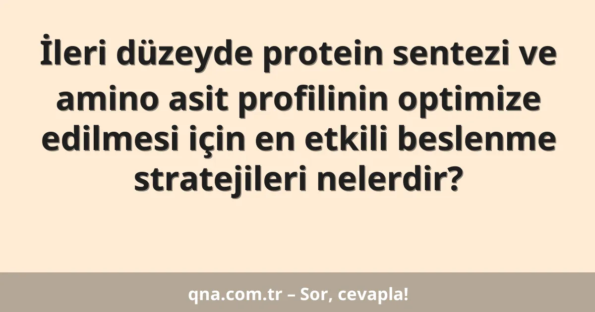 İleri düzeyde protein sentezi ve amino asit profilinin optimize edilmesi için en etkili beslenme stratejileri nelerdir?