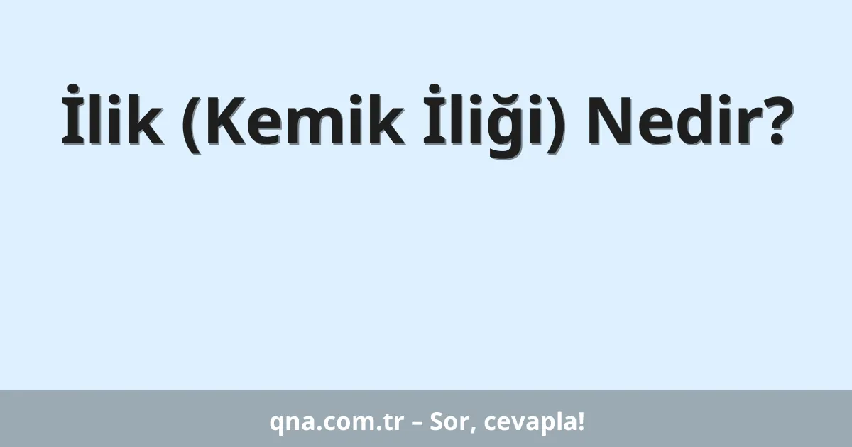 İlik (Kemik İliği) Nedir?