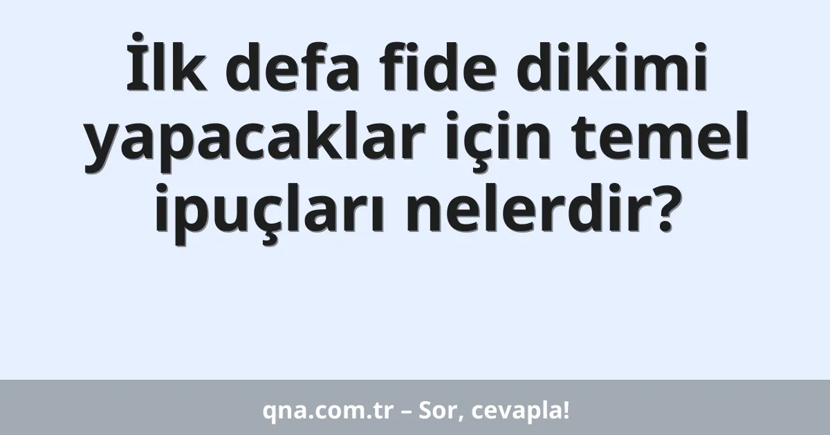 İlk defa fide dikimi yapacaklar için temel ipuçları nelerdir?