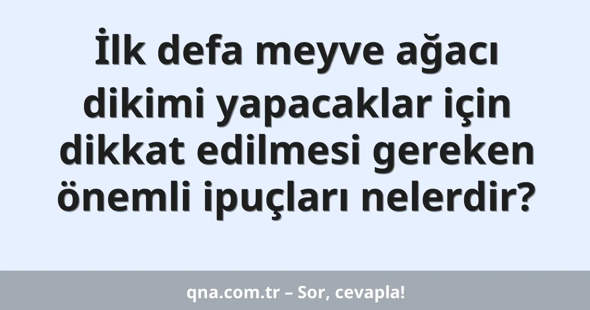 İlk defa meyve ağacı dikimi yapacaklar için dikkat edilmesi gereken önemli ipuçları nelerdir?