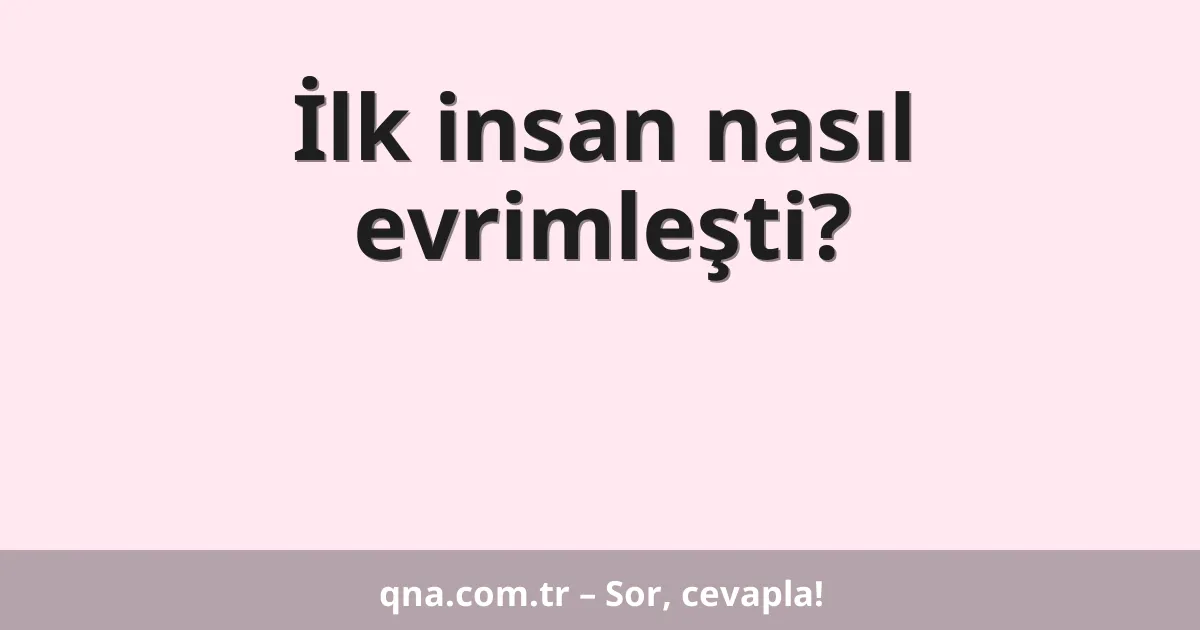 İlk insan nasıl evrimleşti?