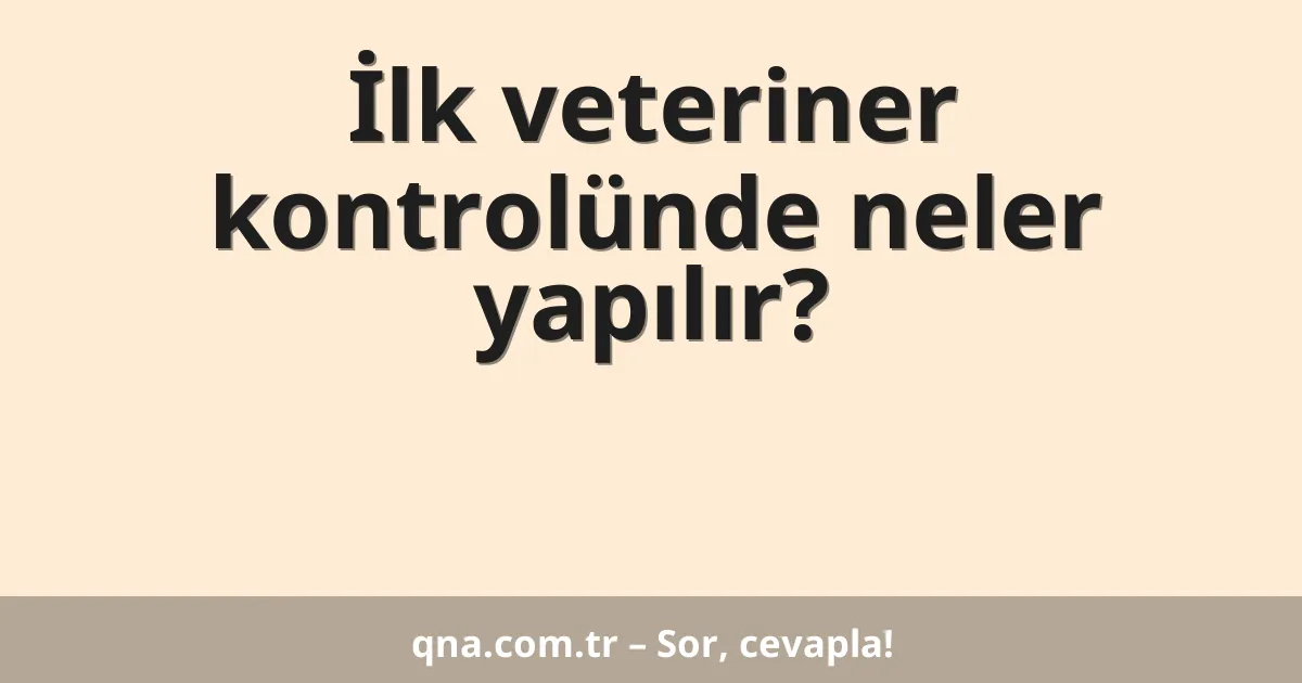 İlk veteriner kontrolünde neler yapılır?