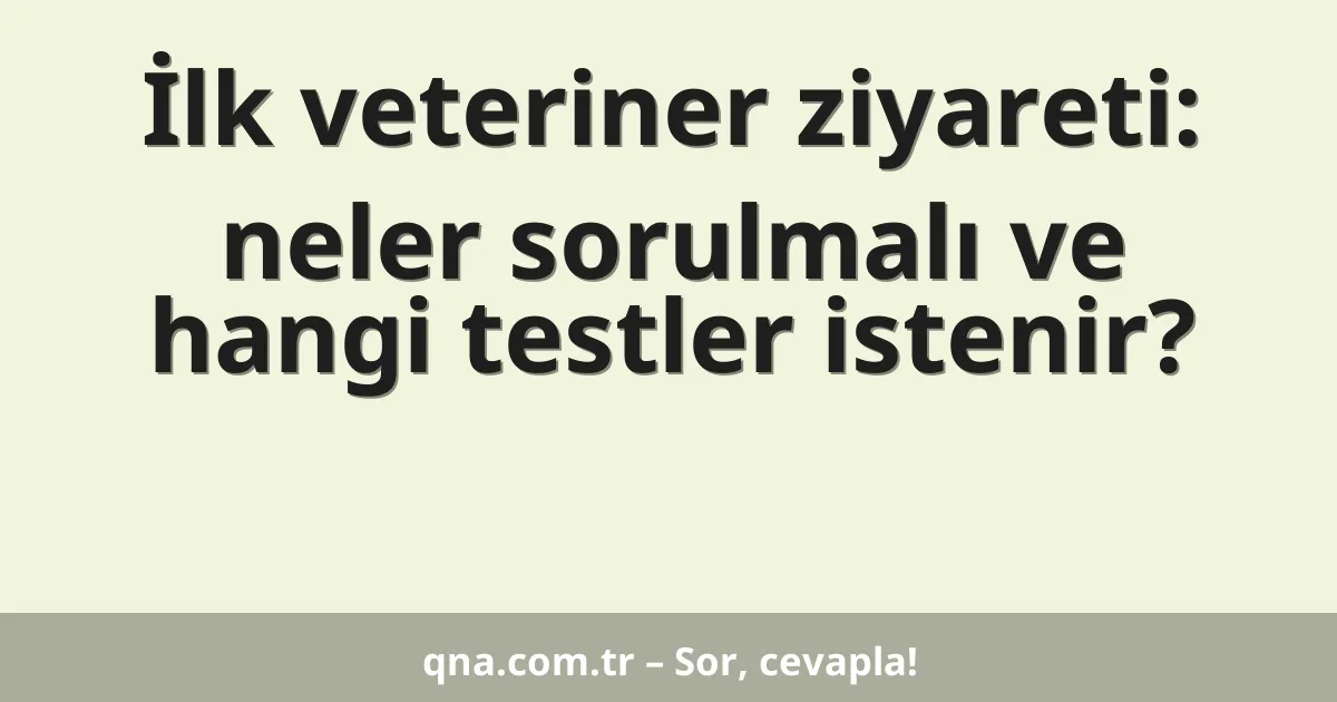 İlk veteriner ziyareti: neler sorulmalı ve hangi testler istenir?