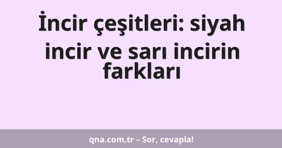 İncir çeşitleri: siyah incir ve sarı incirin farkları