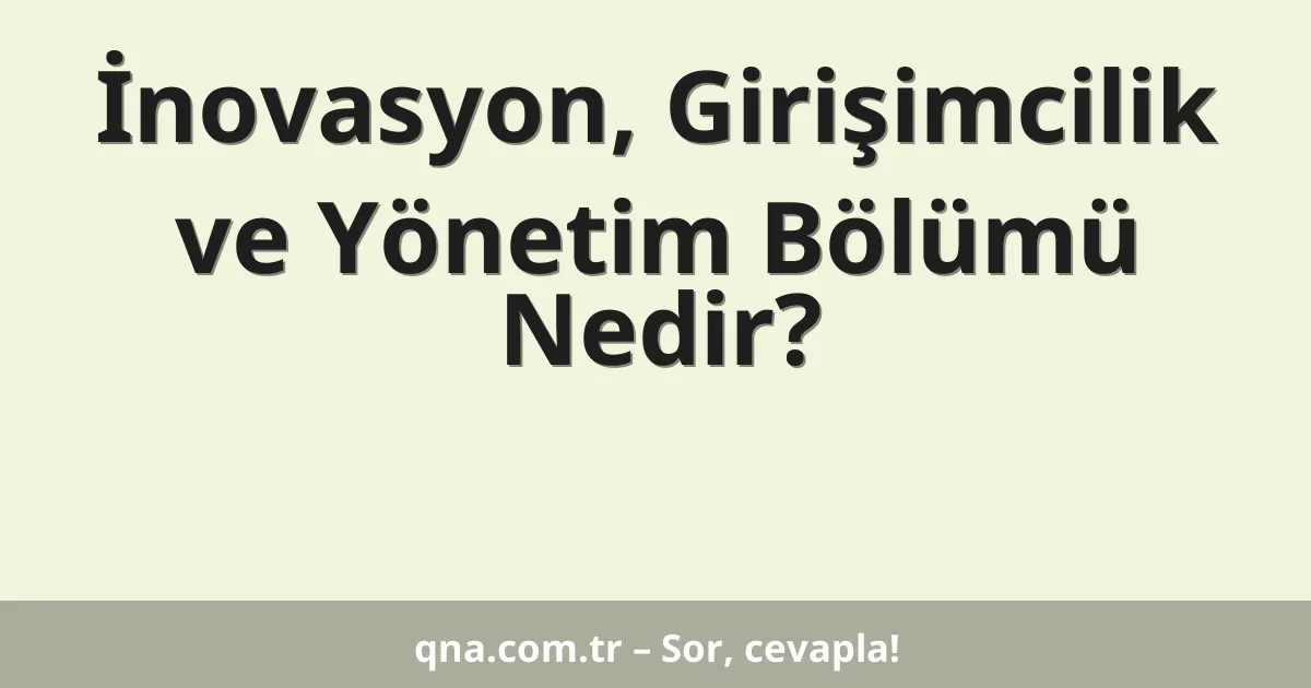 İnovasyon, Girişimcilik ve Yönetim Bölümü Nedir?