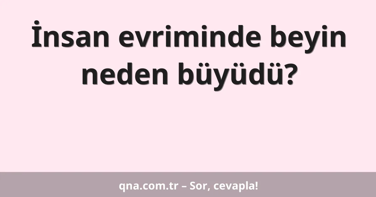 İnsan evriminde beyin neden büyüdü?