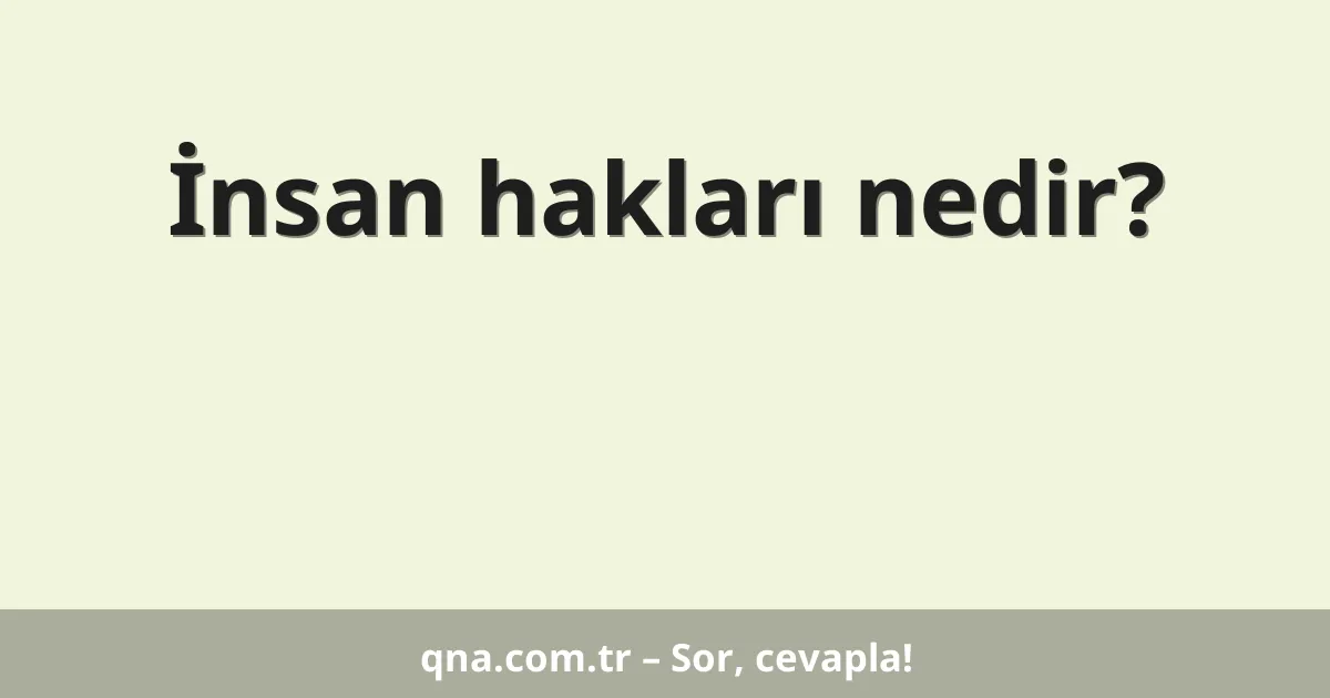 İnsan hakları nedir?