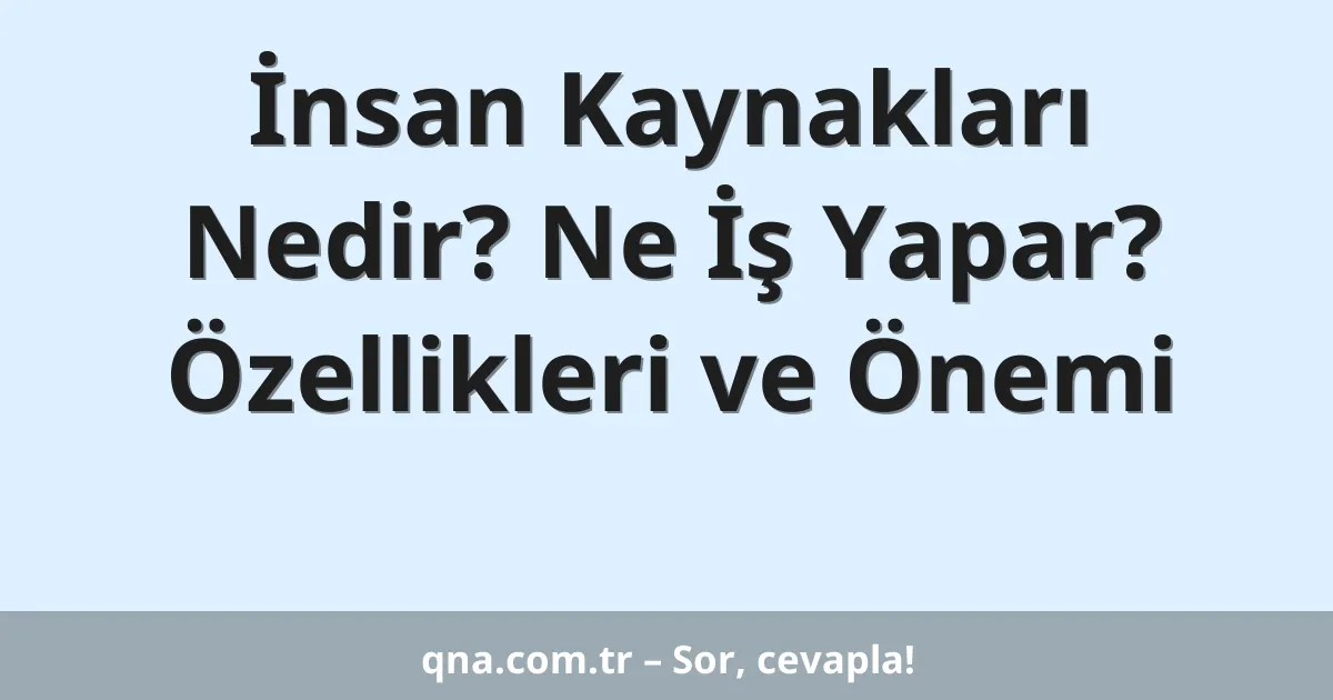 İnsan Kaynakları Nedir? Ne İş Yapar? Özellikleri ve Önemi