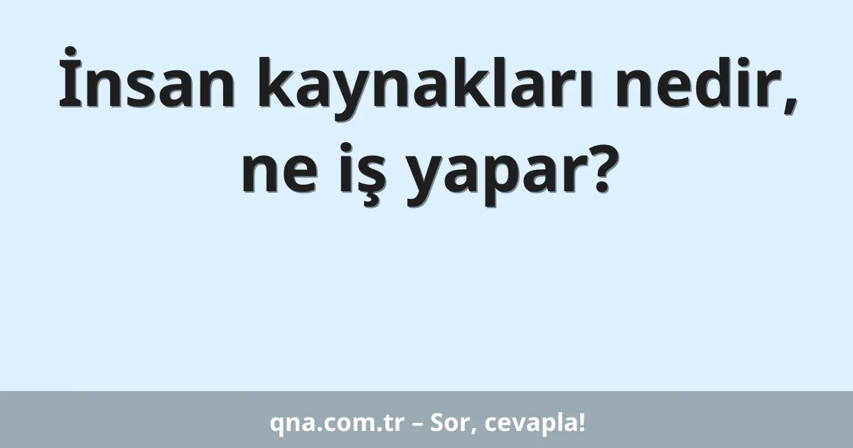 İnsan kaynakları nedir, ne iş yapar?