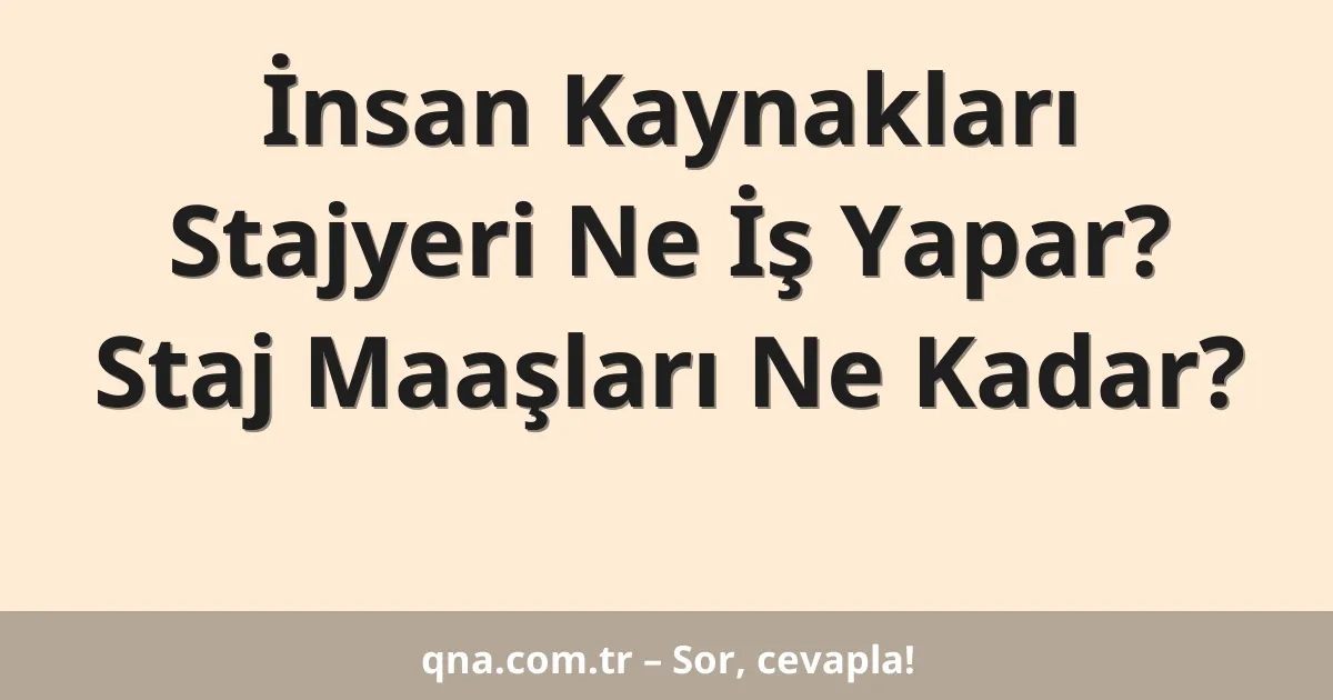 İnsan Kaynakları Stajyeri Ne İş Yapar? Staj Maaşları Ne Kadar?