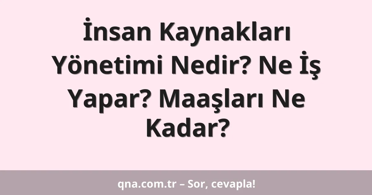İnsan Kaynakları Yönetimi Nedir? Ne İş Yapar? Maaşları Ne Kadar?