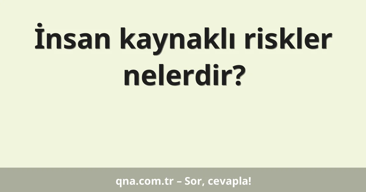 İnsan kaynaklı riskler nelerdir?