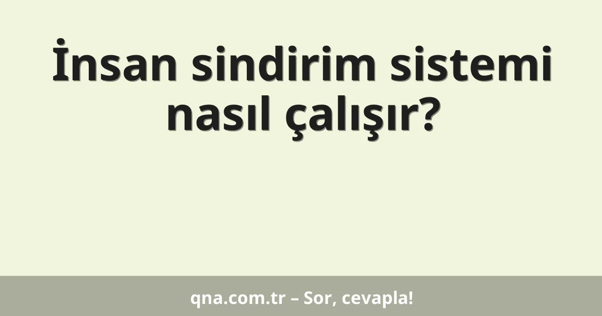 İnsan sindirim sistemi nasıl çalışır?