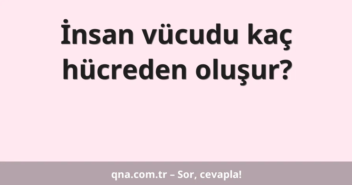 İnsan vücudu kaç hücreden oluşur?