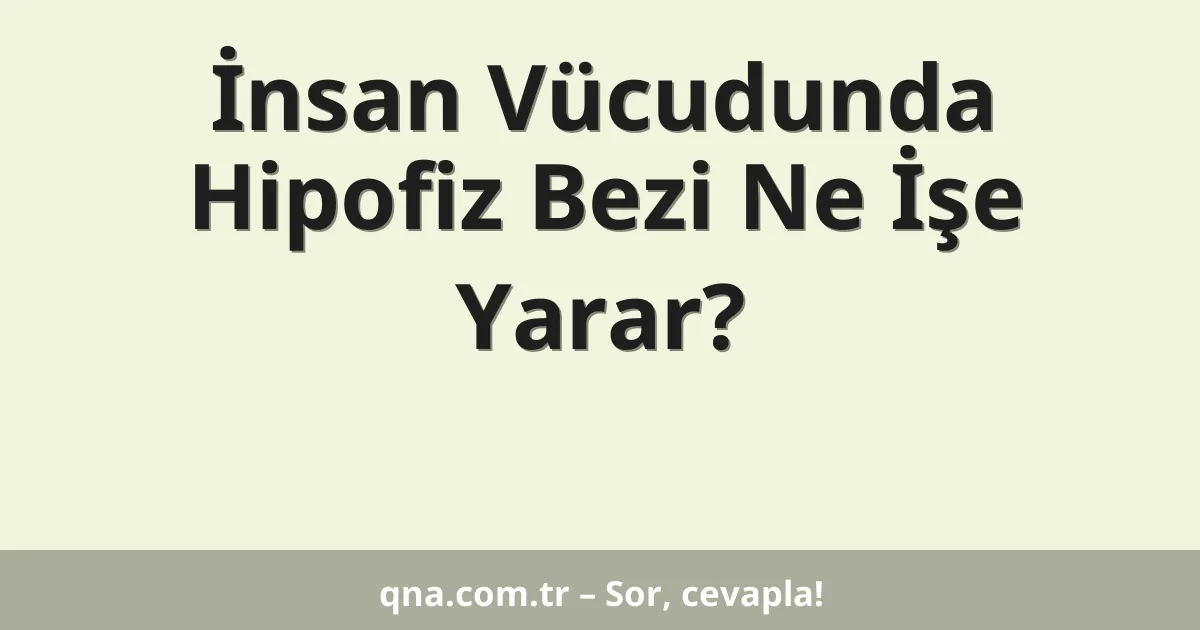 İnsan Vücudunda Hipofiz Bezi Ne İşe Yarar?