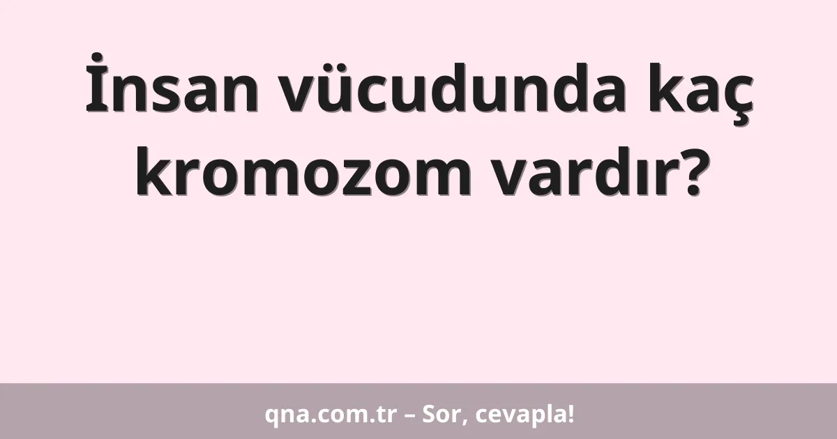 İnsan vücudunda kaç kromozom vardır?