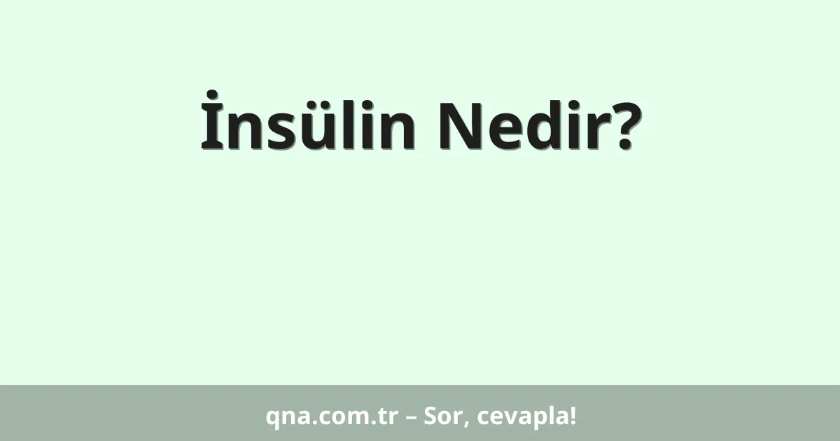 İnsülin Nedir?