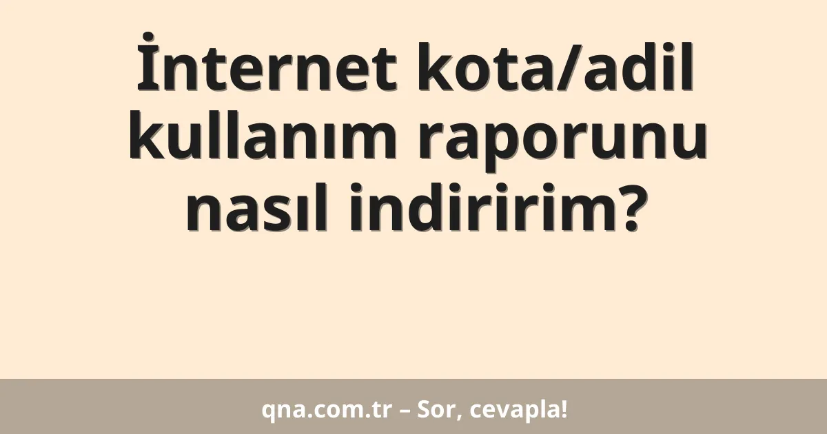 İnternet kota/adil kullanım raporunu nasıl indiririm?