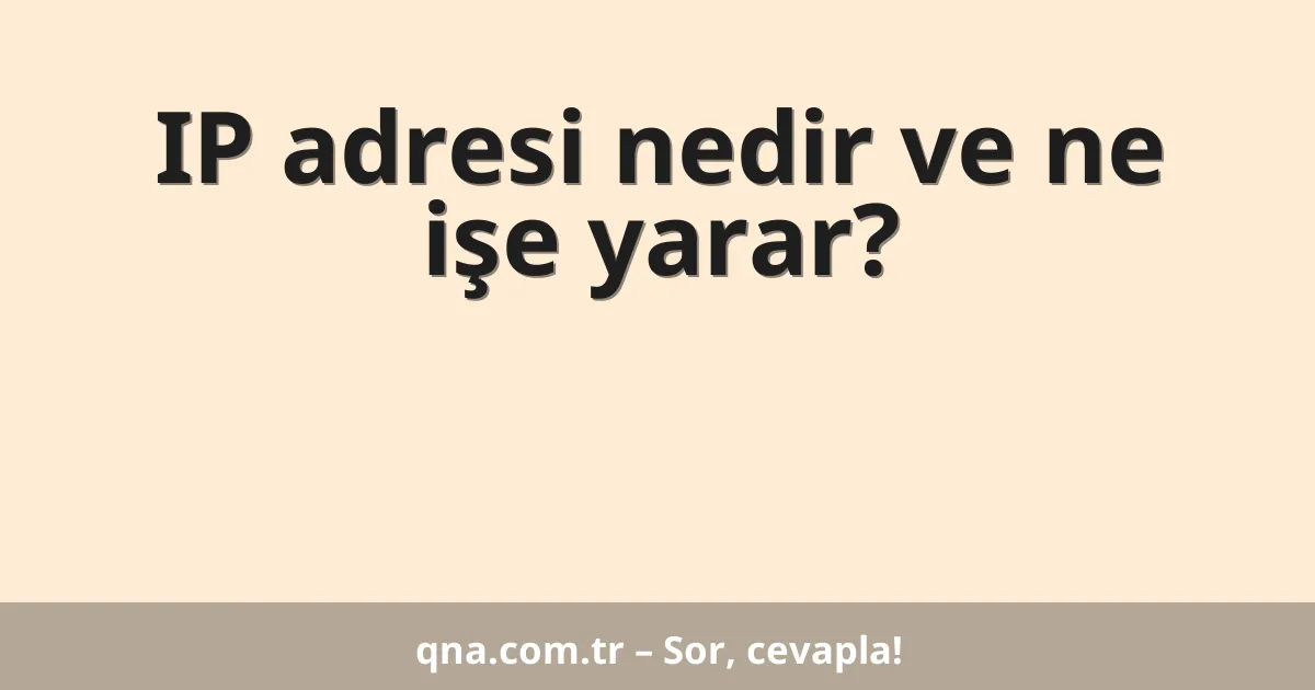 IP adresi nedir ve ne işe yarar?