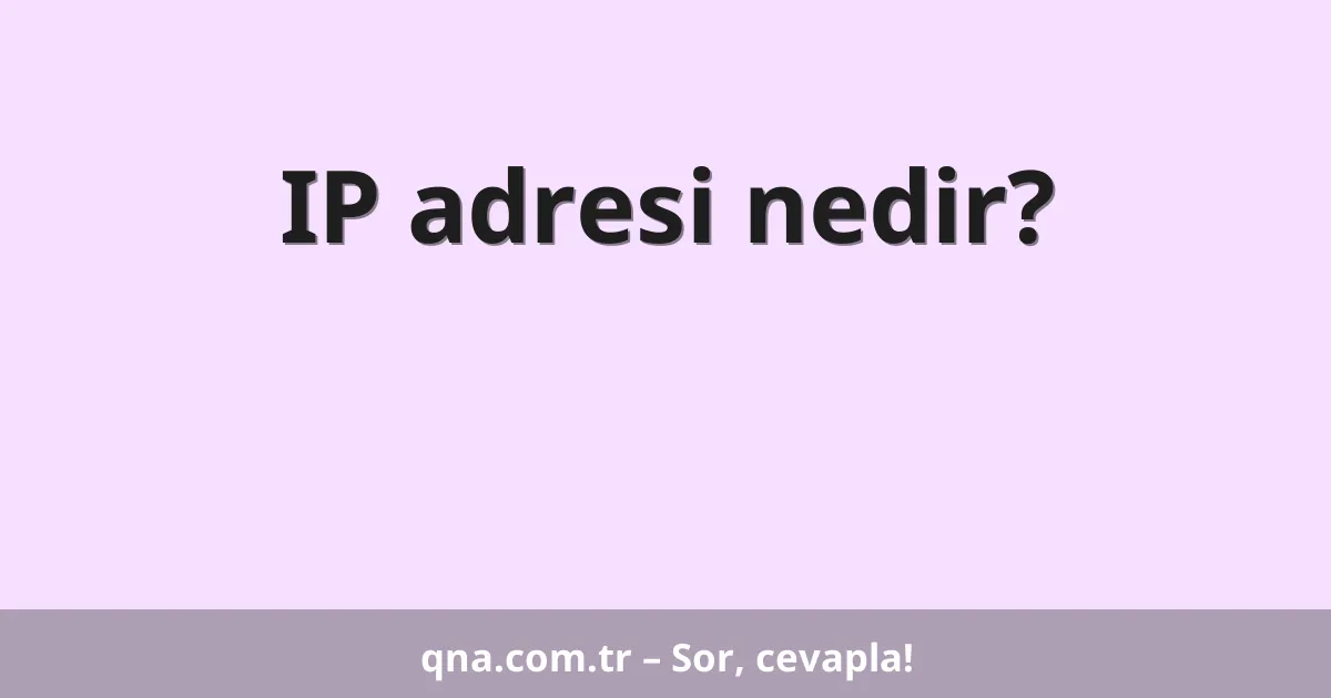 IP adresi nedir?