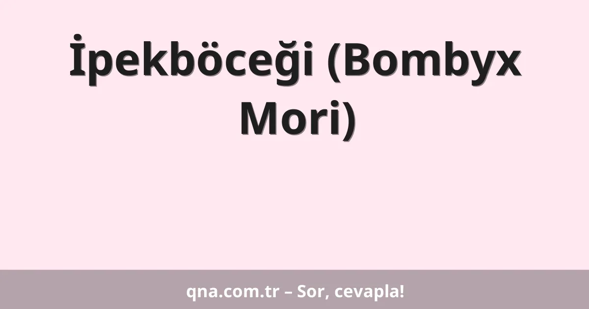 İpekböceği (Bombyx Mori)