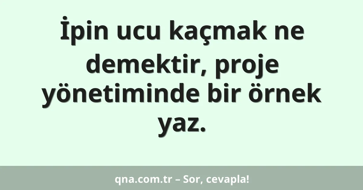 İpin ucu kaçmak ne demektir, proje yönetiminde bir örnek yaz.