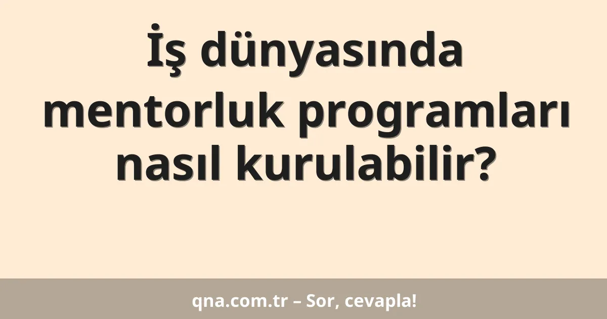 İş dünyasında mentorluk programları nasıl kurulabilir?