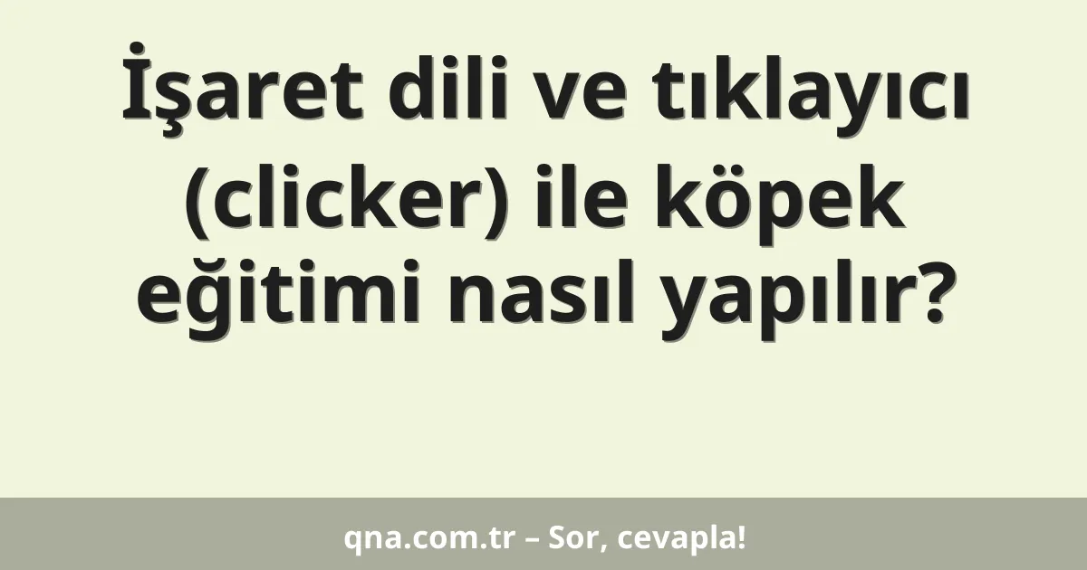 İşaret dili ve tıklayıcı (clicker) ile köpek eğitimi nasıl yapılır?