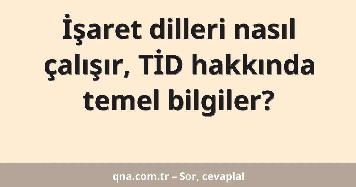 İşaret dilleri nasıl çalışır, TİD hakkında temel bilgiler?