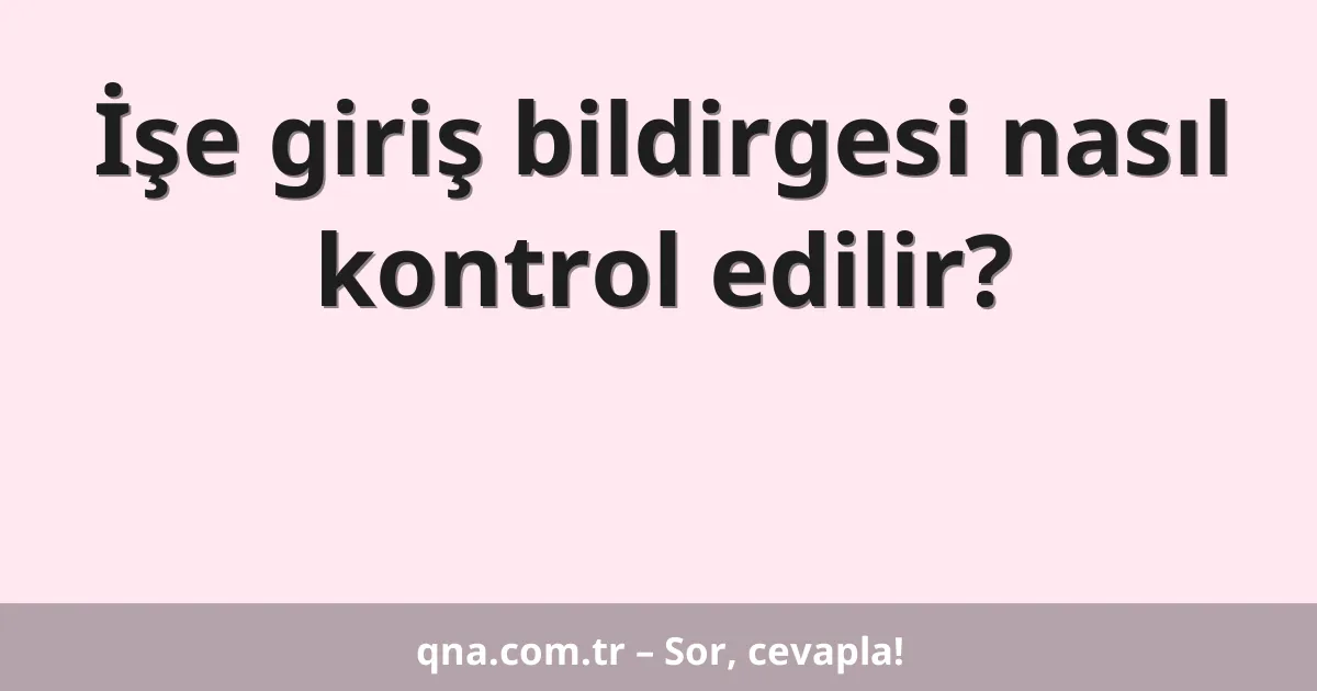 İşe giriş bildirgesi nasıl kontrol edilir?