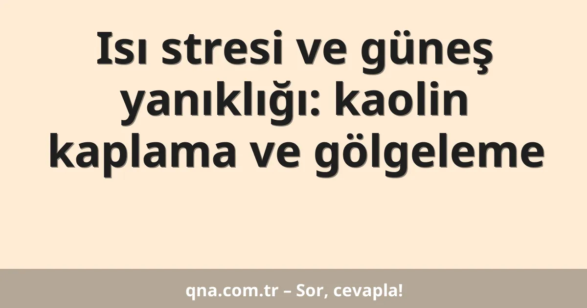 Isı stresi ve güneş yanıklığı: kaolin kaplama ve gölgeleme