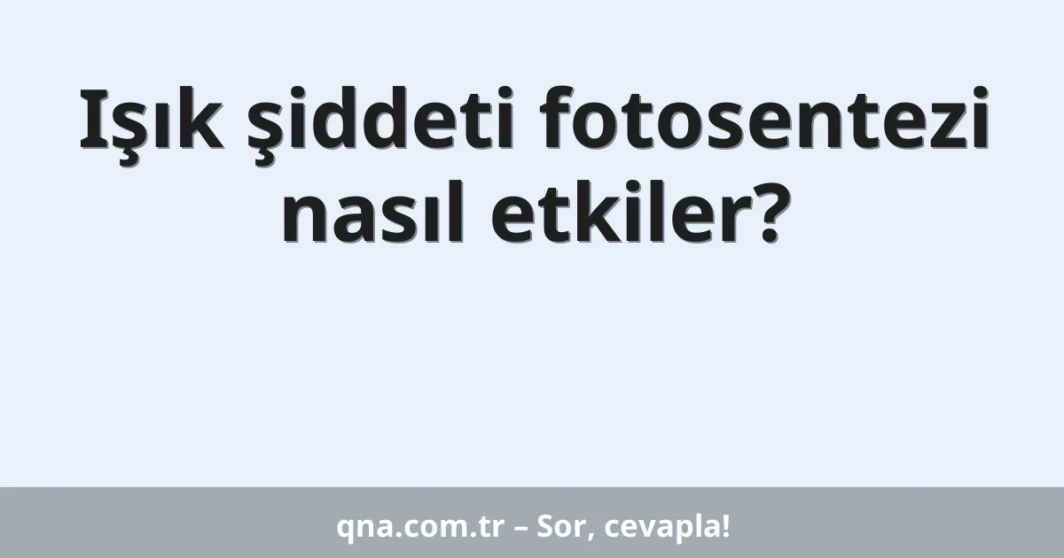 Işık şiddeti fotosentezi nasıl etkiler?