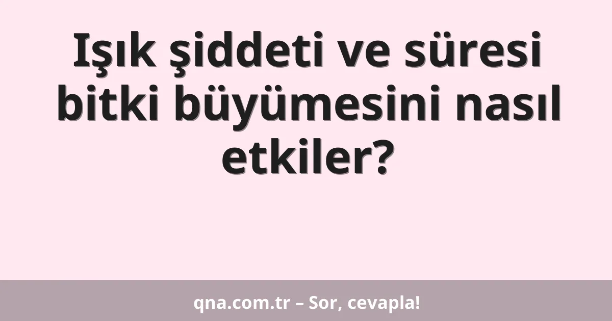 Işık şiddeti ve süresi bitki büyümesini nasıl etkiler?