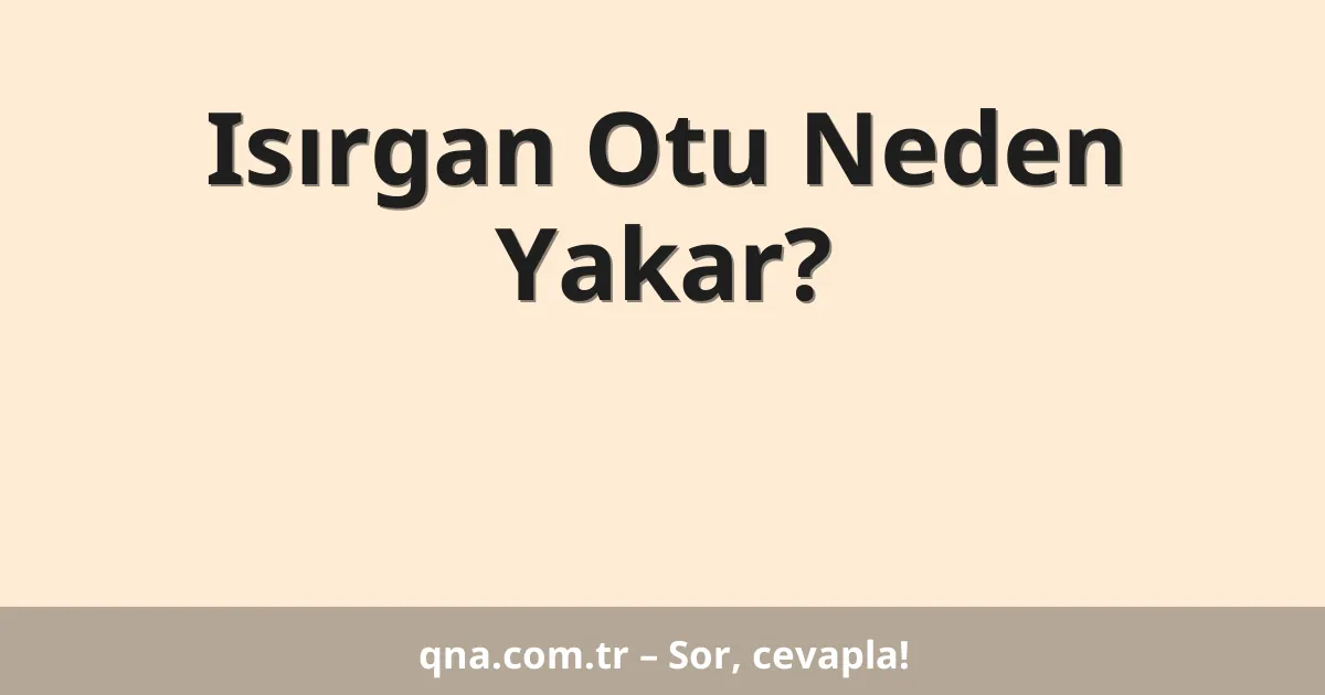 Isırgan Otu Neden Yakar?