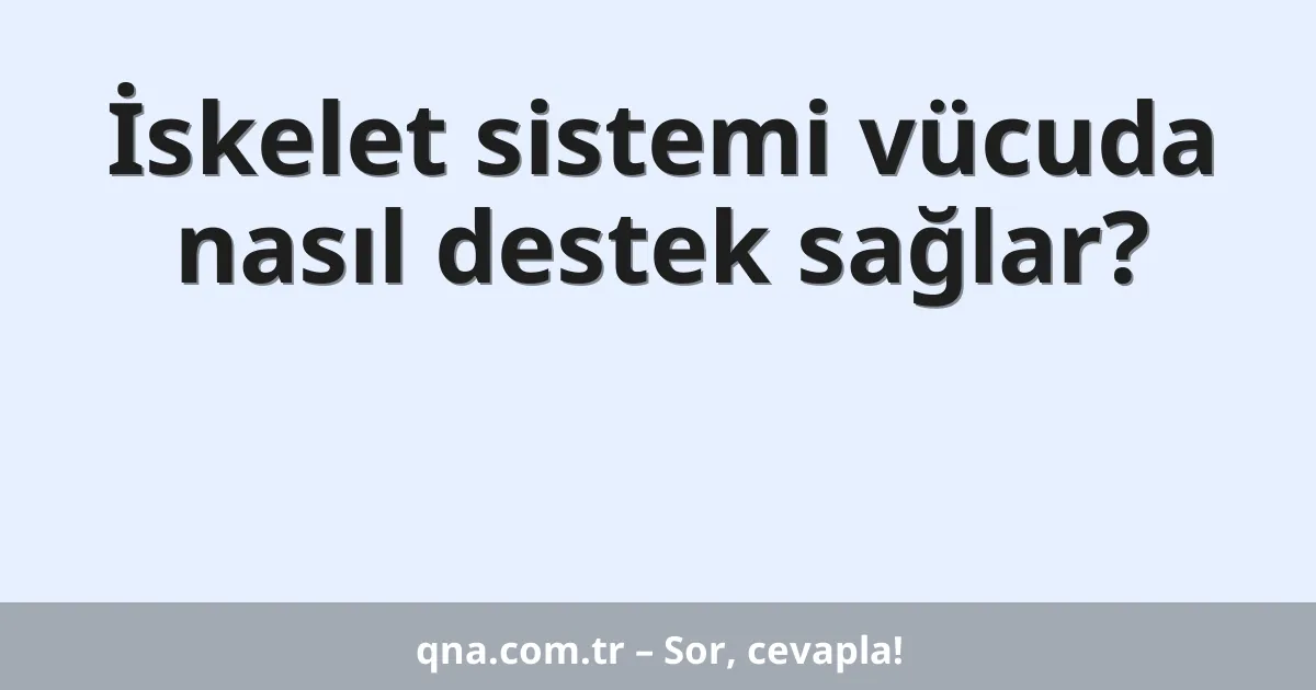 İskelet sistemi vücuda nasıl destek sağlar?
