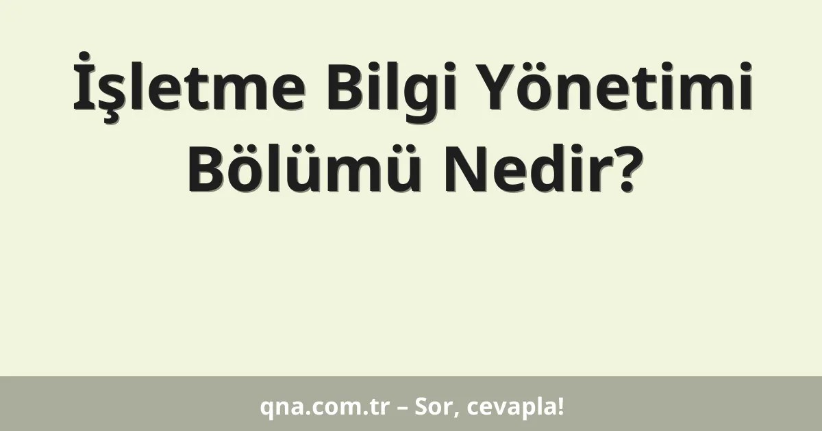 İşletme Bilgi Yönetimi Bölümü Nedir?