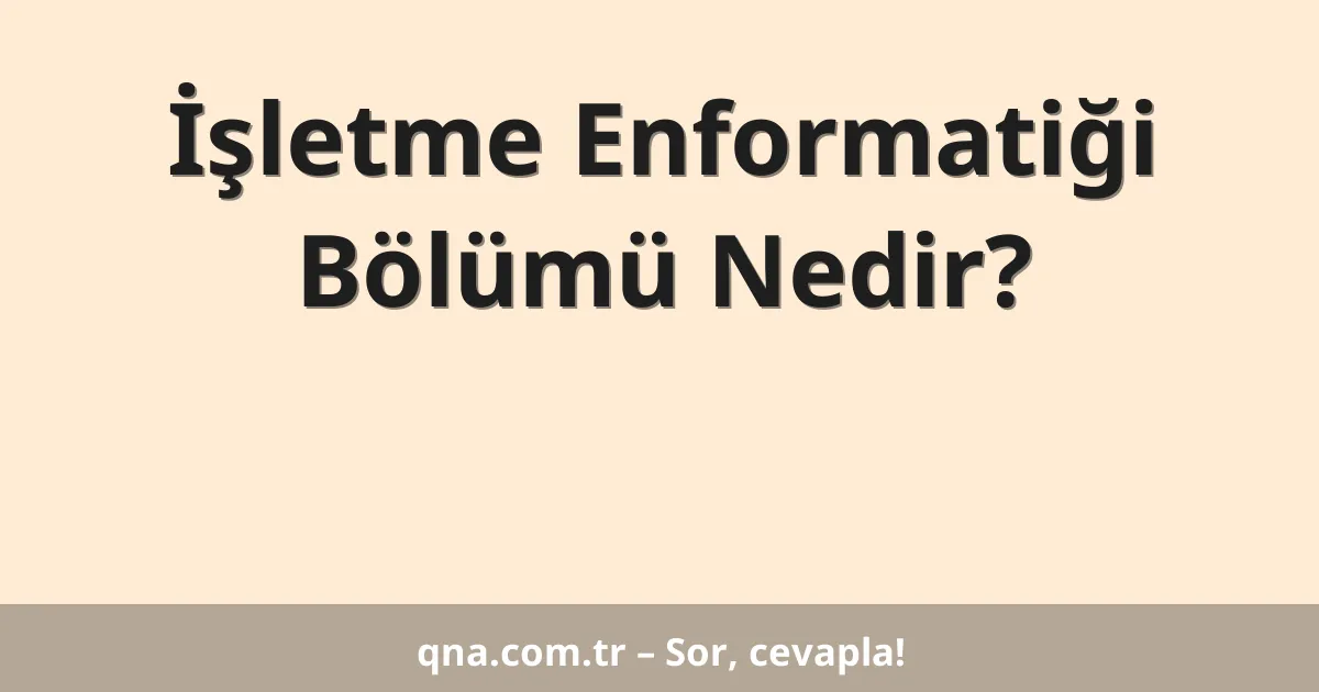 İşletme Enformatiği Bölümü Nedir?