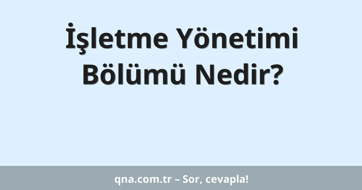 İşletme Yönetimi Bölümü Nedir?